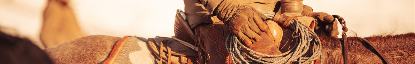 persons glove on horse up close with saddle and a lasso