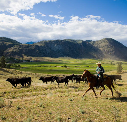 Snake River Farms - Who We are - Double R Ranch