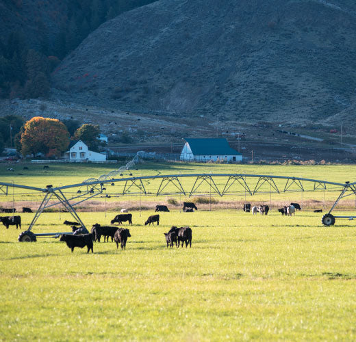 Stewardship | Snake River Farms 