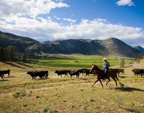 Snake River Farms - Who We Are