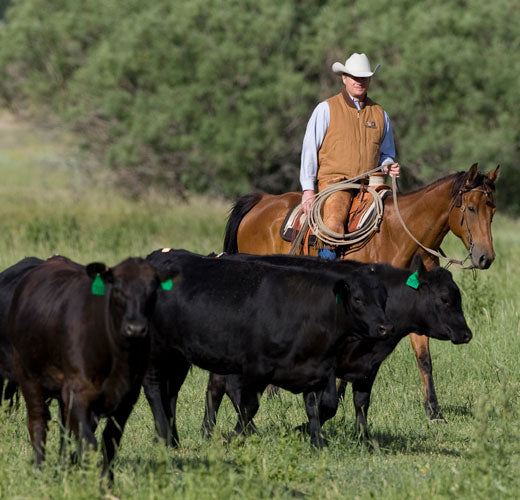 Snake River Farms: A Cowboy's Legacy