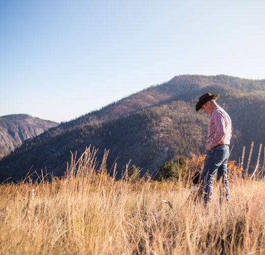 Double R Ranch - Loomis, Wa