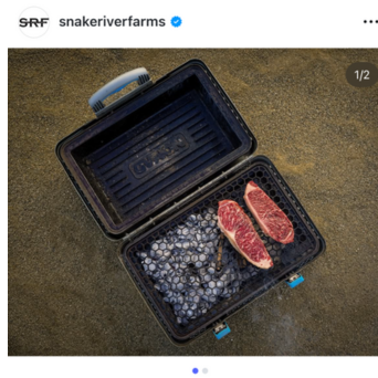 UGC screenshot of steaks on potable grill 