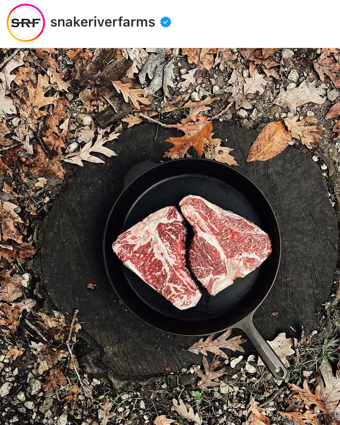 Instagram graphic two porterhouse steaks in cast iron skillet 