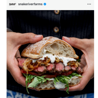 UGC Screenshot of Steak Sandwich 