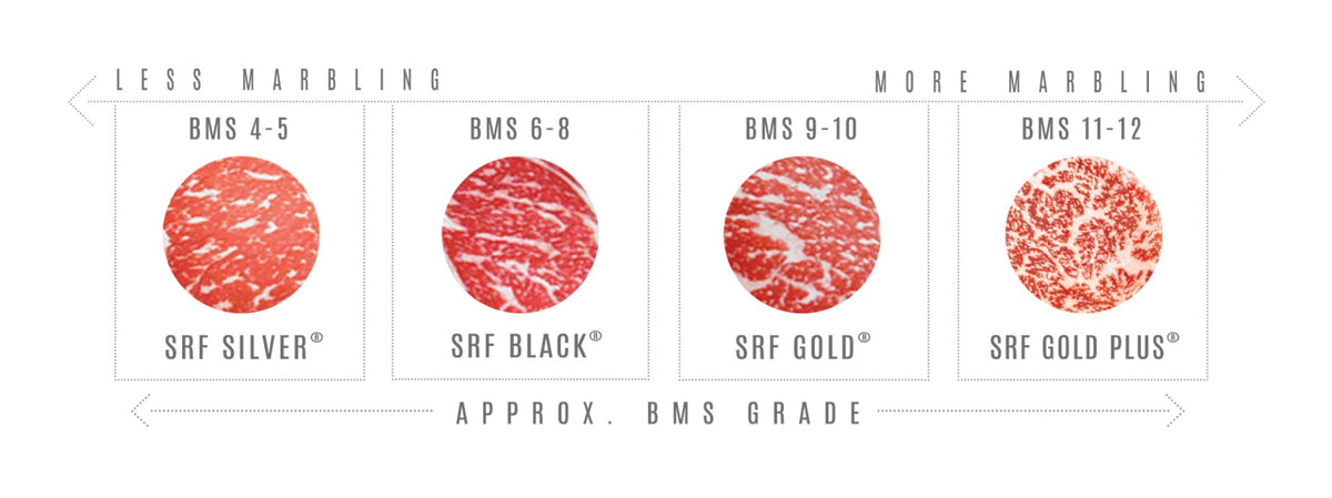 A comparison chart showing four circular marbling samples labeled BMS 4-5, BMS 6-8, BMS 9-10, and BMS 11-12 under the brands SRF Silver, SRF Black, SRF Gold, and SRF Gold Plus, with text indicating less marbling to more marbling and approximate BMS grade.