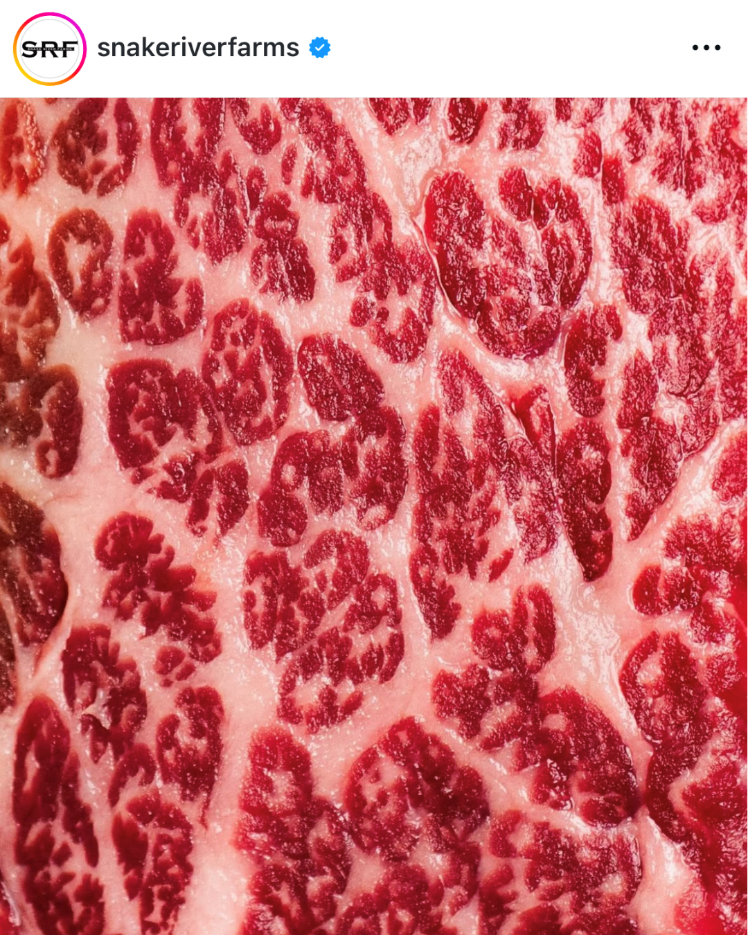 Instagram graphic with marbled raw meat