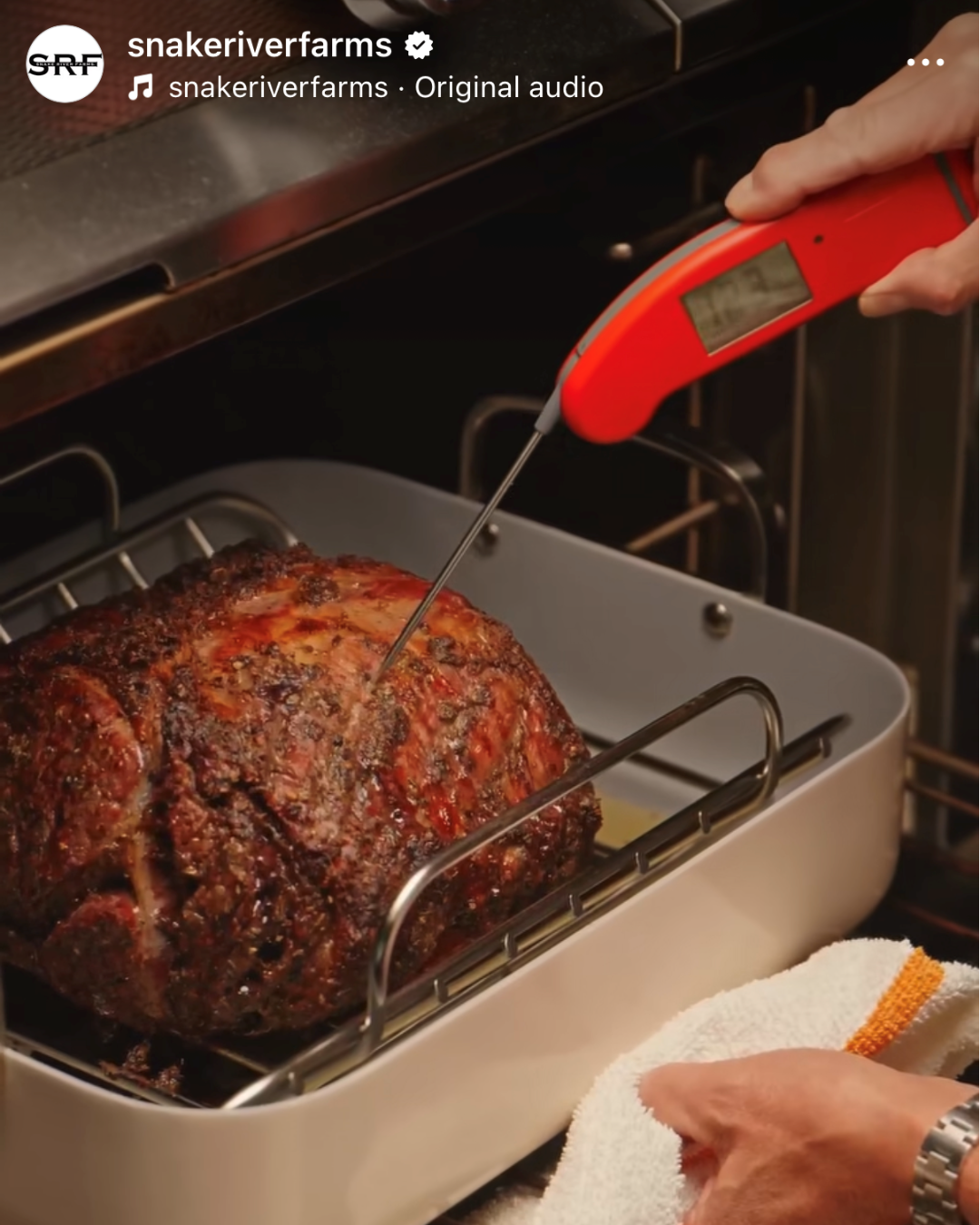 Prime rib roast in oven being temped with a instant read thermometer