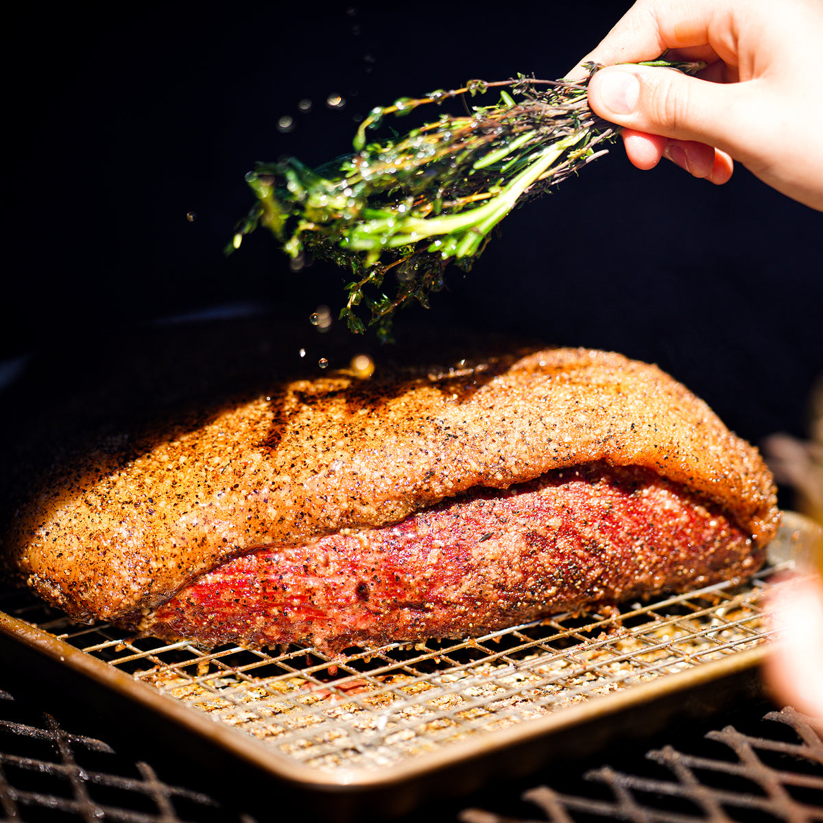 Angus Picanha em Bovinos - Picanha Angus Picanha em Bovinos - Picanha