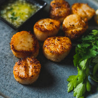 cooked sea scallops with parsley 