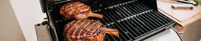 Grilling Guide Snake River Farms