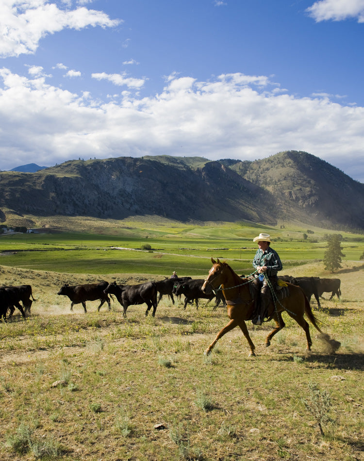 Most Beautiful Ranches In America Snake River Farms: The Pioneers Of