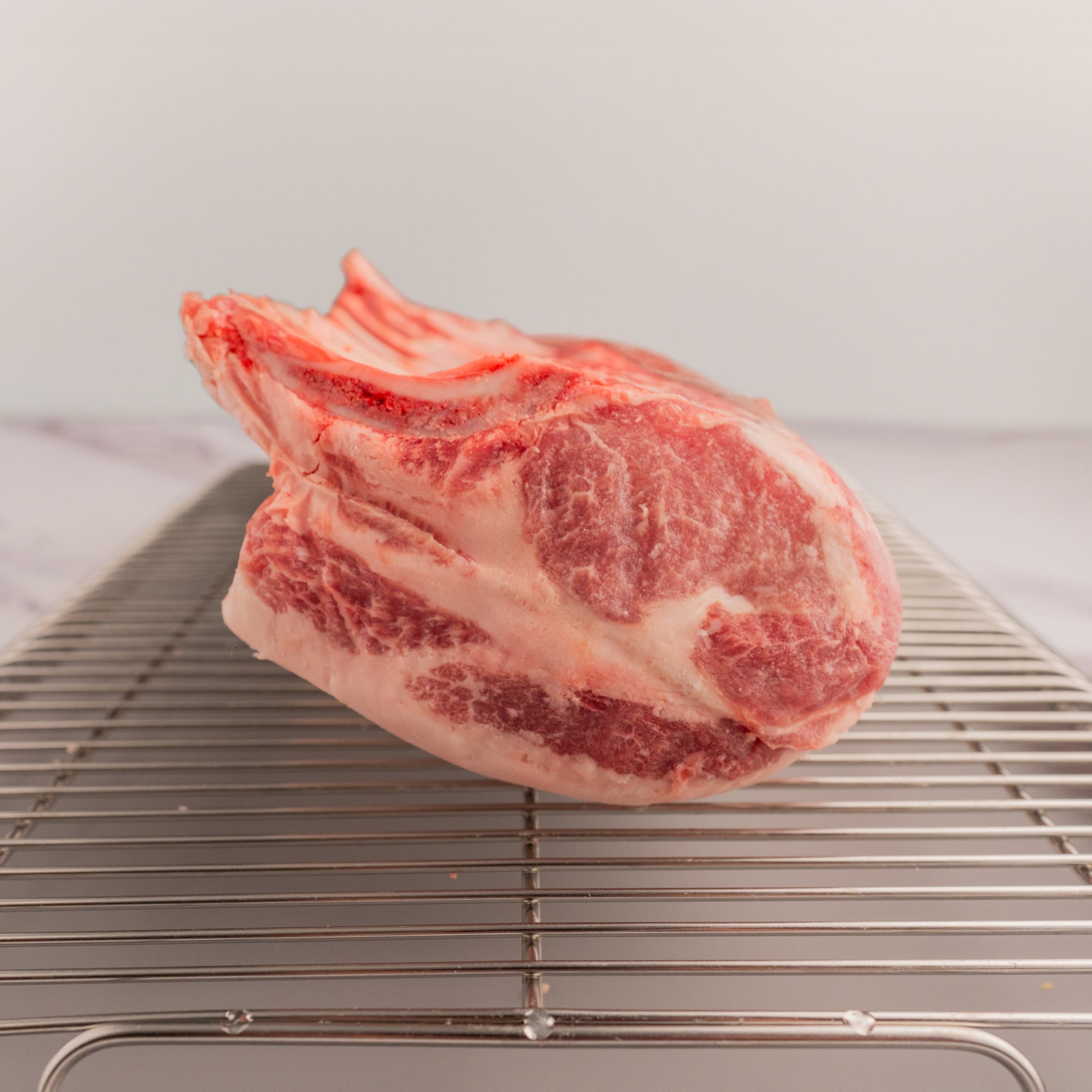 Buy Kurobuta Rack of Pork Online - Snake River Farms