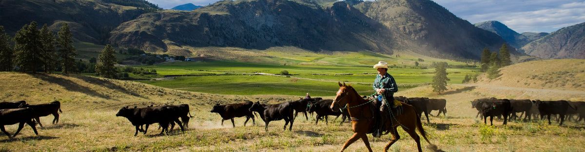 Snake River Ranch Snake River Farms - Who We Are
