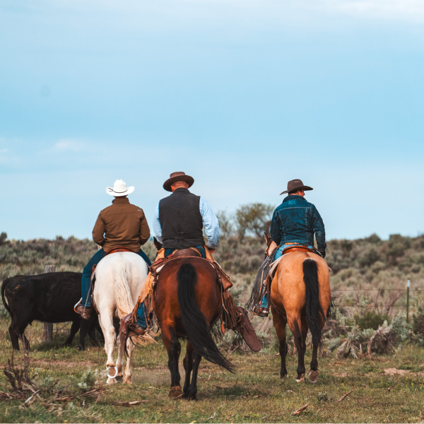 Three cowboys on horseback in a field with a clear blue sky.