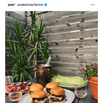 UGC Screenshot of burgers on a table outside with plant in background