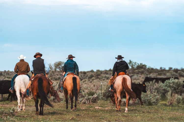 Four cowboys on horseback in a grassy field with a clear sky.