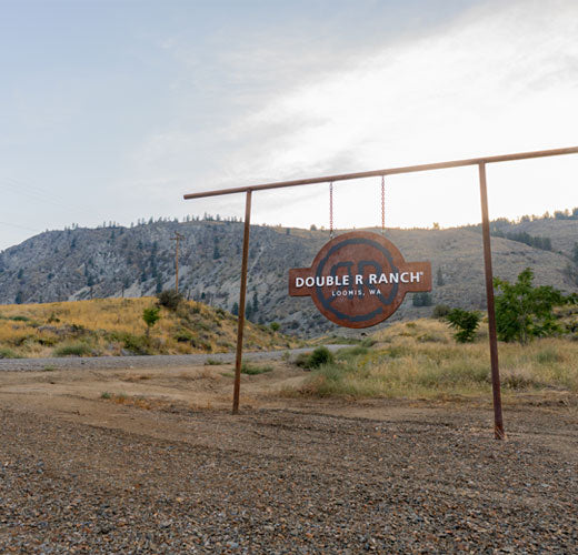 Double R Ranch sign in a desert landscape with mountains in the background