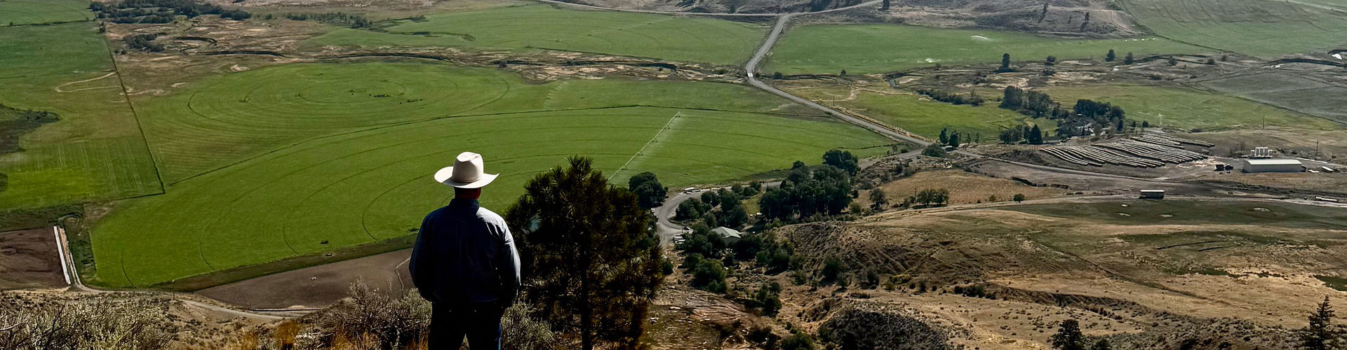 Person wearing a cowboy hat overlooking a vast green landscape with fields and a road.