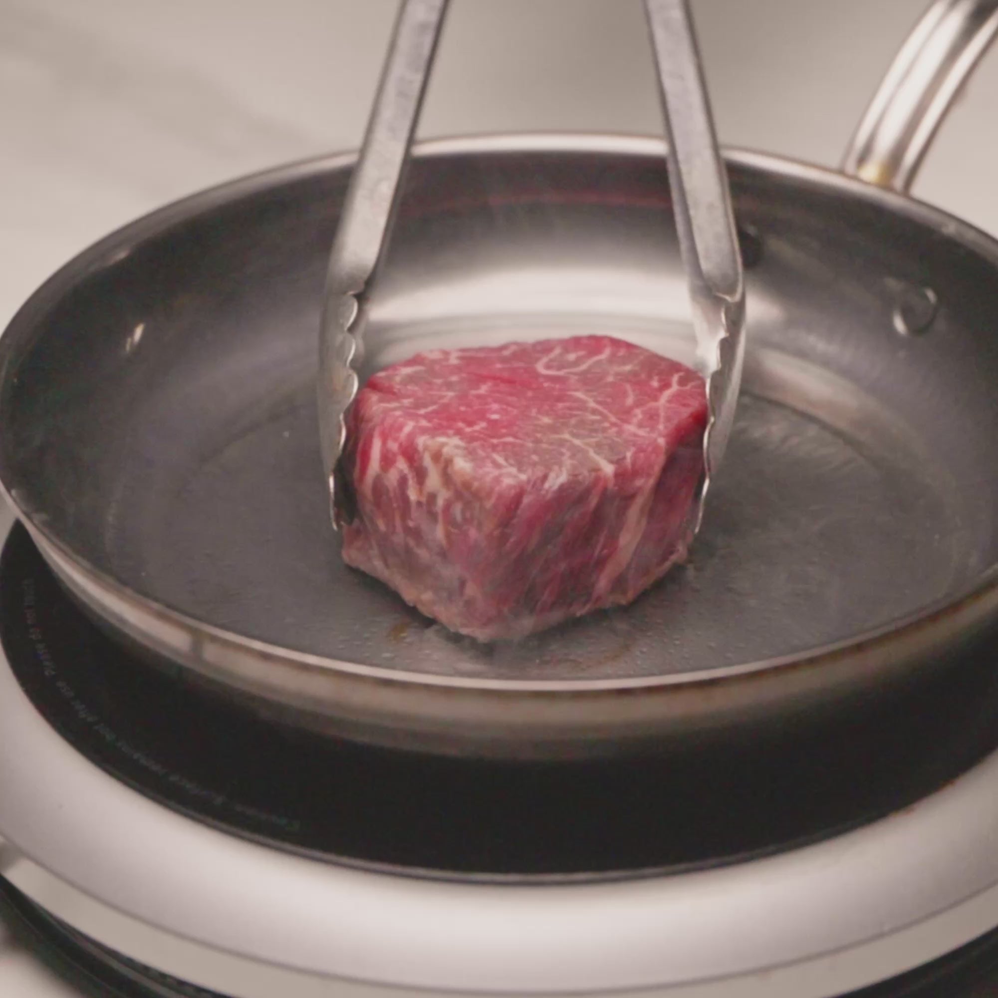 Wagyu Filet Mignon Steaks - Snake River Farms